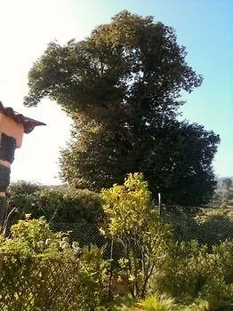 Vakantiehuis Rural Llanadas Los Realejos