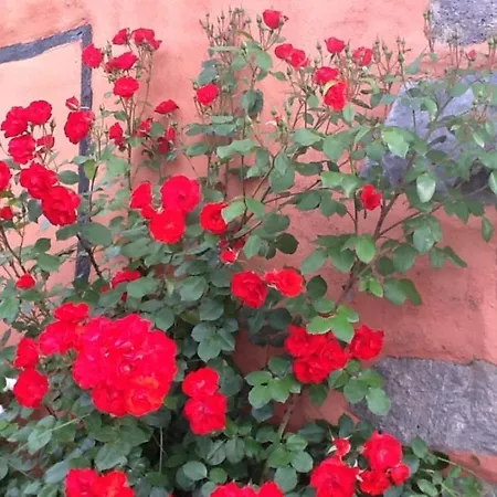 Holiday home Rural Llanadas