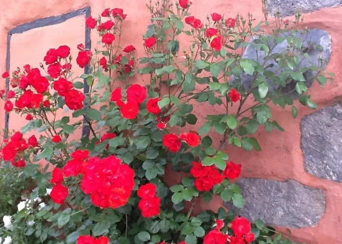 בית נופש Rural Llanadas